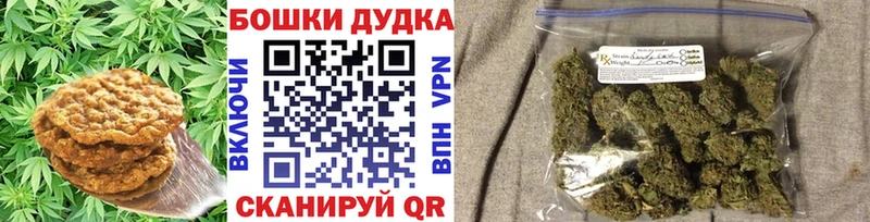 Canna-Cookies марихуана  как найти наркотики  Шахунья 