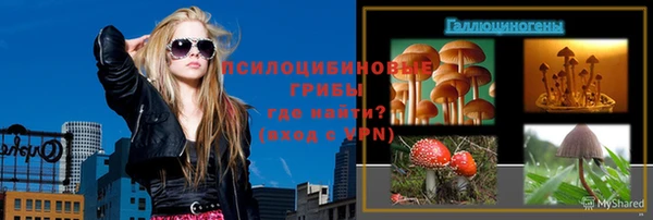 ПСИЛОЦИБИНОВЫЕ ГРИБЫ Алексеевка