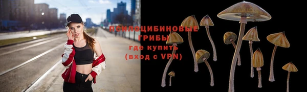 ПСИЛОЦИБИНОВЫЕ ГРИБЫ Алексеевка