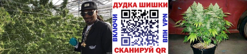 mega ССЫЛКА Шахунья Марихуана MAZAR